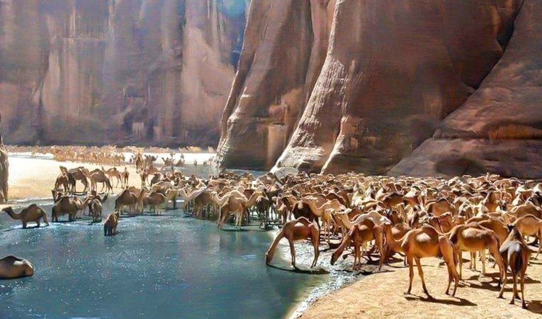Wadi El Gemal Wildlife Reserve in Marsa Alam